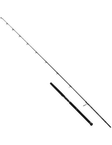 Savage Gear Defiance SG2 Offshore Casting 2,56 Mt 70-200 Gr