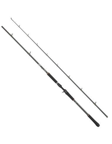 Abu Garcia Beast X 2,29 Mt 30-90 Gr
