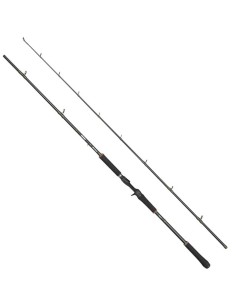 Abu Garcia Beast X 2,54 Mt 40-140 Gr