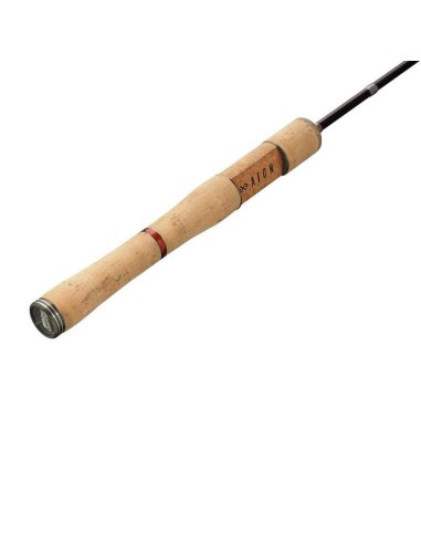 Abu Garcia Aion Ains