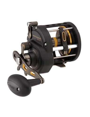 Penn Fathom II Level Wind