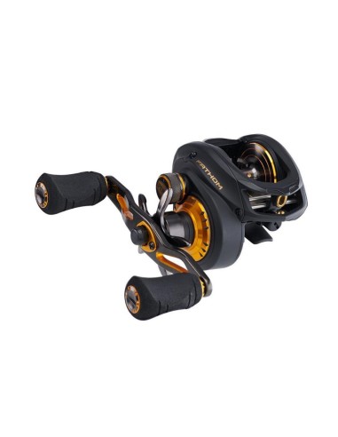 Penn Fathom Low Profile