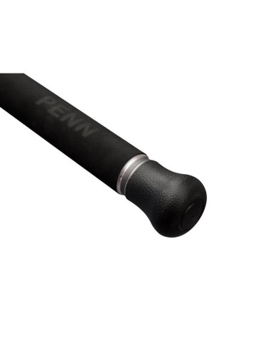 Penn Marine Brigade Offshore Spinning