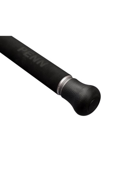 Penn Marine Brigade Offshore Spinning