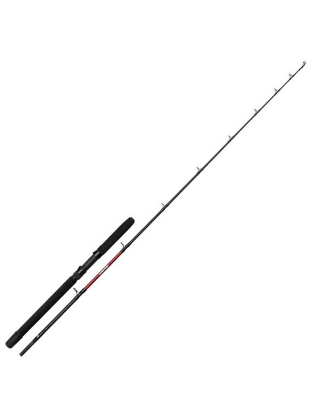 Penn Warfare Light Trolling Rod