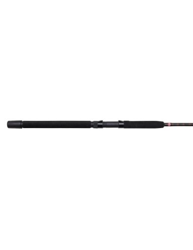 Penn Warfare Light Trolling Rod