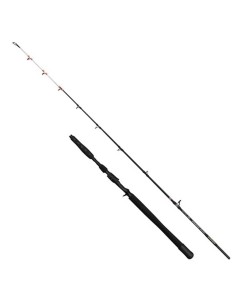 Penn Marine Brigade Dentex 1,90 Mt / 50-150 Gr