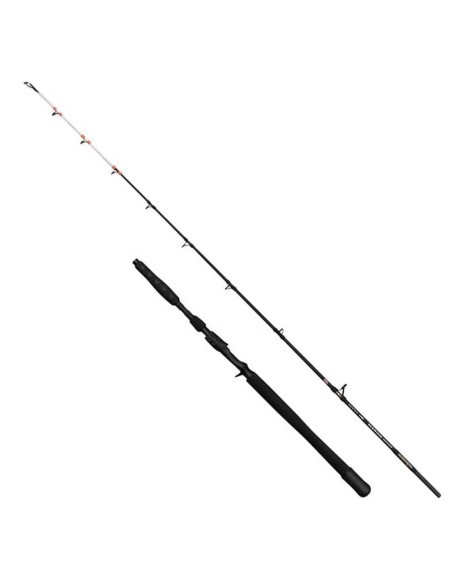 Penn Marine Brigade Dentex 1,90 Mt / 50-150 Gr