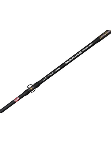 Penn Marine Brigade Dentex 1,90 Mt / 50-150 Gr