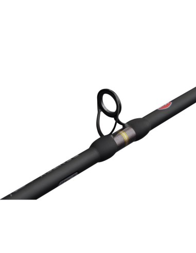 Penn Marine Brigade Dentex 1,90 Mt / 50-150 Gr