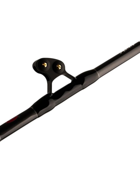 Penn Ally II Boat Conventional