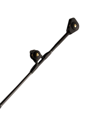 Penn Ally II Boat Conventional