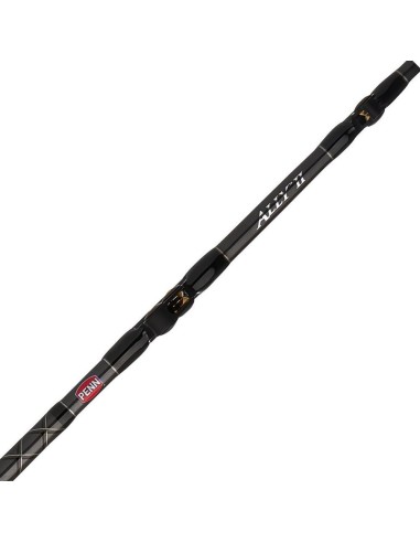 Penn Ally II Boat Conventional