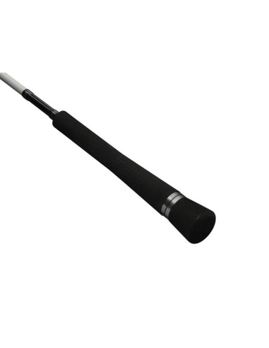 Penn Prevail II Jigging Casting