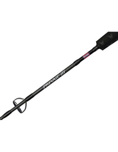 Penn Prevail III Jigging Spinning
