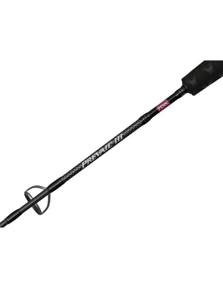 Penn Prevail III Jigging Spinning