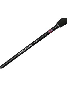 Penn Squadron IV Labrax Spinning 2