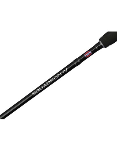 Penn Squadron IV Labrax Spinning