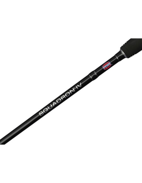 Penn Squadron IV Labrax Spinning