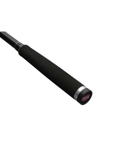 Penn Squadron IV Labrax Spinning