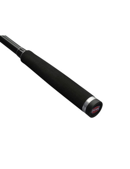 Penn Squadron IV Labrax Spinning