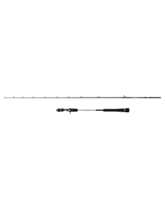 Penn Prevail III Light Jig 2,04 Mt / Max 120 Gr