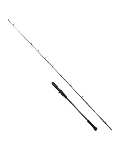 Savage Gear Defiance SG2 Slow Jigging Cast