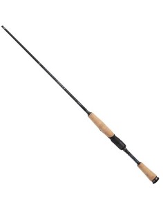 Daiwa 25 Tatula Spinning 2