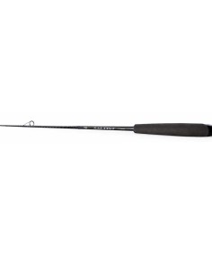 Daiwa Saltist X Spinning Rod Sea Fishing 2