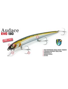 Molix Audace 130 EVO