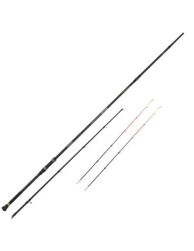 Tubertini Genetic Duo