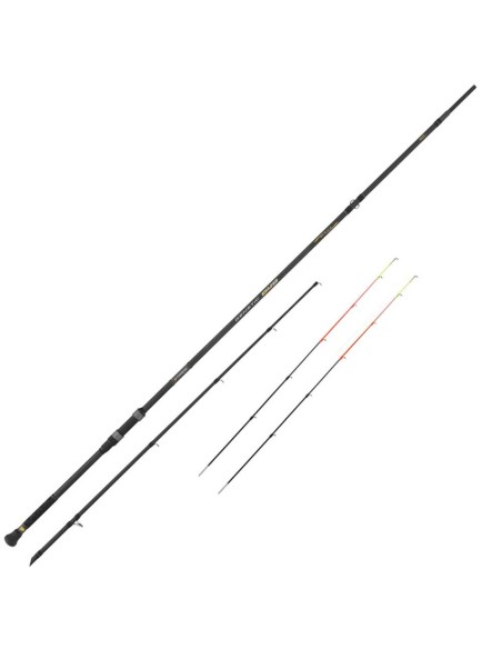 Tubertini Genetic Duo
