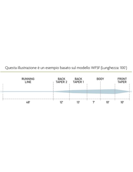 Loomis and Franklin XP Sense Weight Forward WF4F