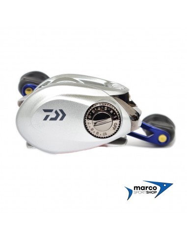 Daiwa Aird Coastal 100 HLA