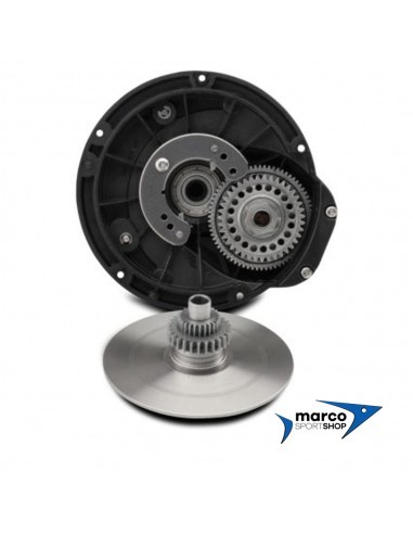 Penn Squall 30VSW Lever Drag 2 Velocità