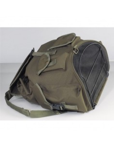 Carson Zaino Funghi 2