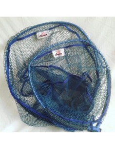 Carson Testa Guadino Gommata 50X42 cm 2