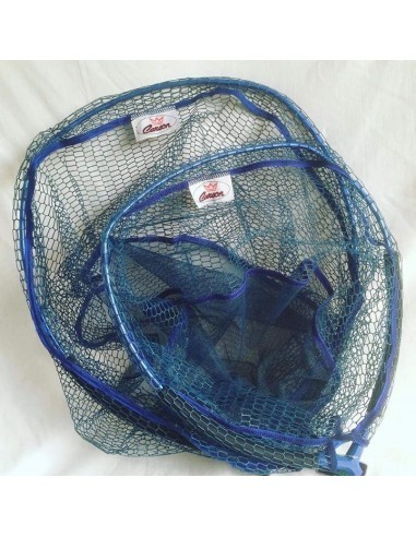 Carson Testa Guadino Gommata 50X42 cm