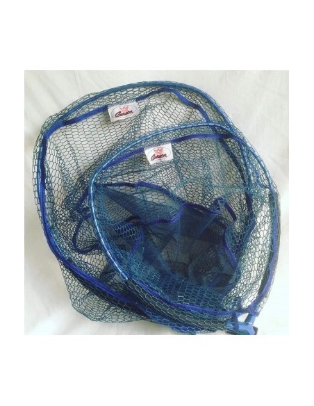 Carson Testa Guadino Gommata 50X42 cm