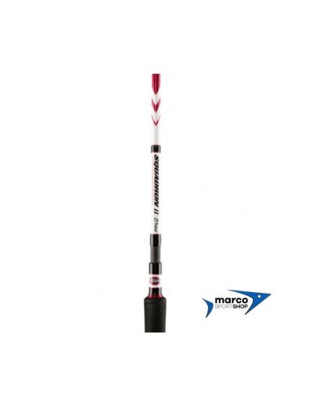 Penn Squadron Ii Vertical 190 cm 50-150 Gr