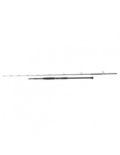 Shakespeare Sigma Supra Uptide 2 Pezzi 2.90 Mt 6-10 Oz