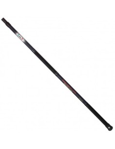 Carson Power Carp teleregolabile 2 mt