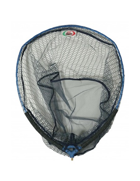 Carson Testa Guadino Gommata 60X52 cm