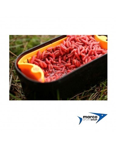 Guru 1 Pinta Bait Strainer