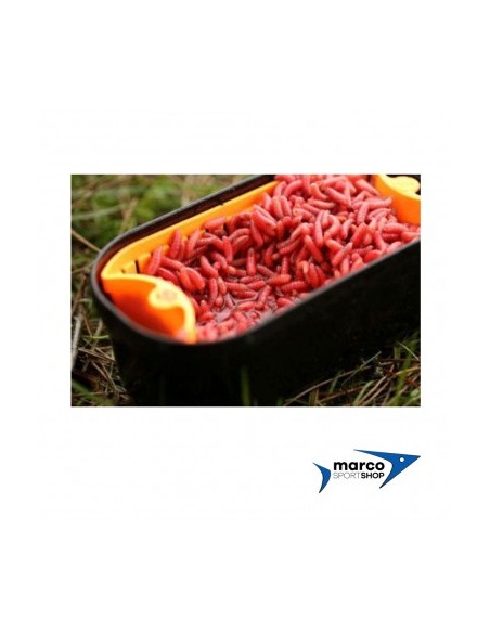 Guru 1 Pinta Bait Strainer