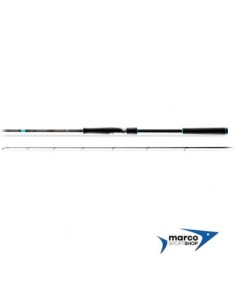 Favorite X1 Shore 902 MH