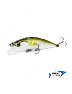 Tubertini Seika Samu 50 mm Colore 01