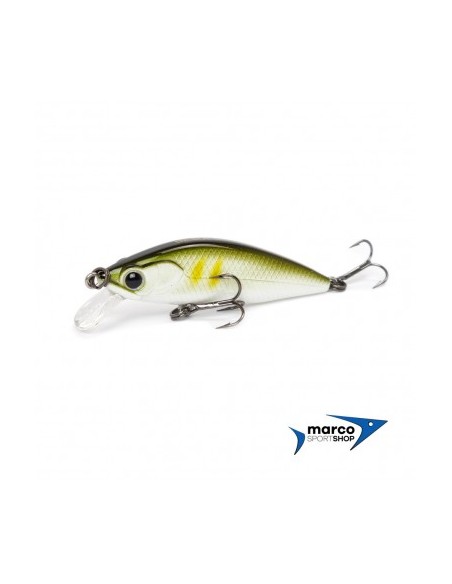 Tubertini Seika Samu 50 mm Colore 01