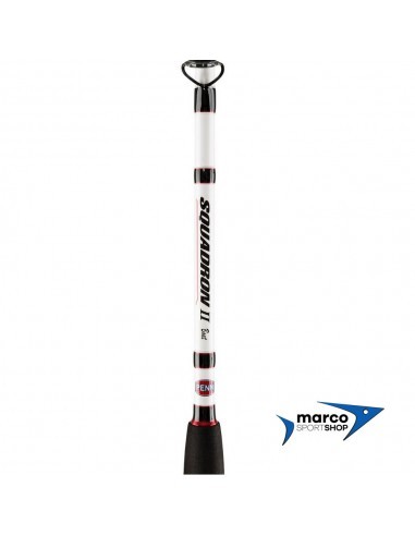 Penn Squadron II Boat 213 cm 20-30 lb