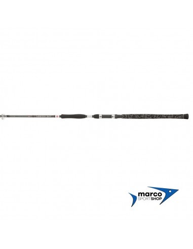 Penn Legion Cat Silver Power AR 3 Mt 200-400 Gr